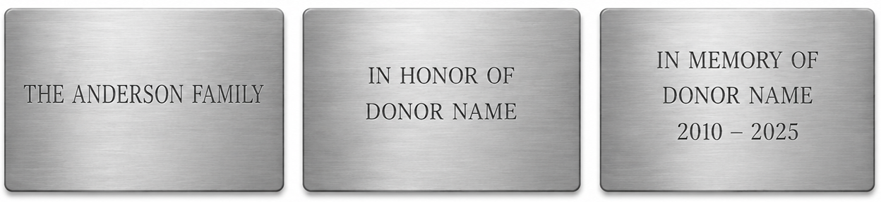 Temporary examples of donor recognition engraving layouts